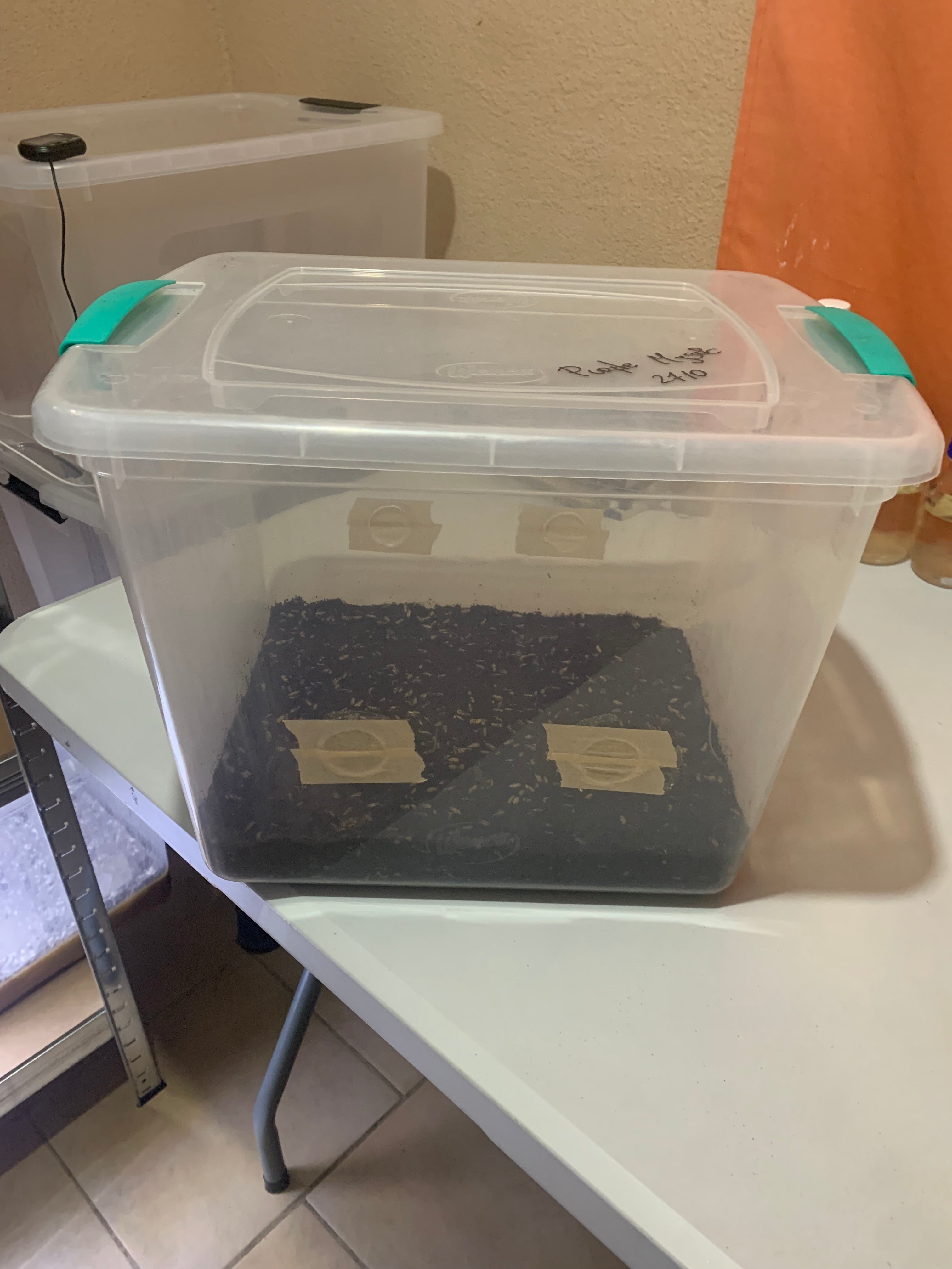 Kit de cultivo avanzado