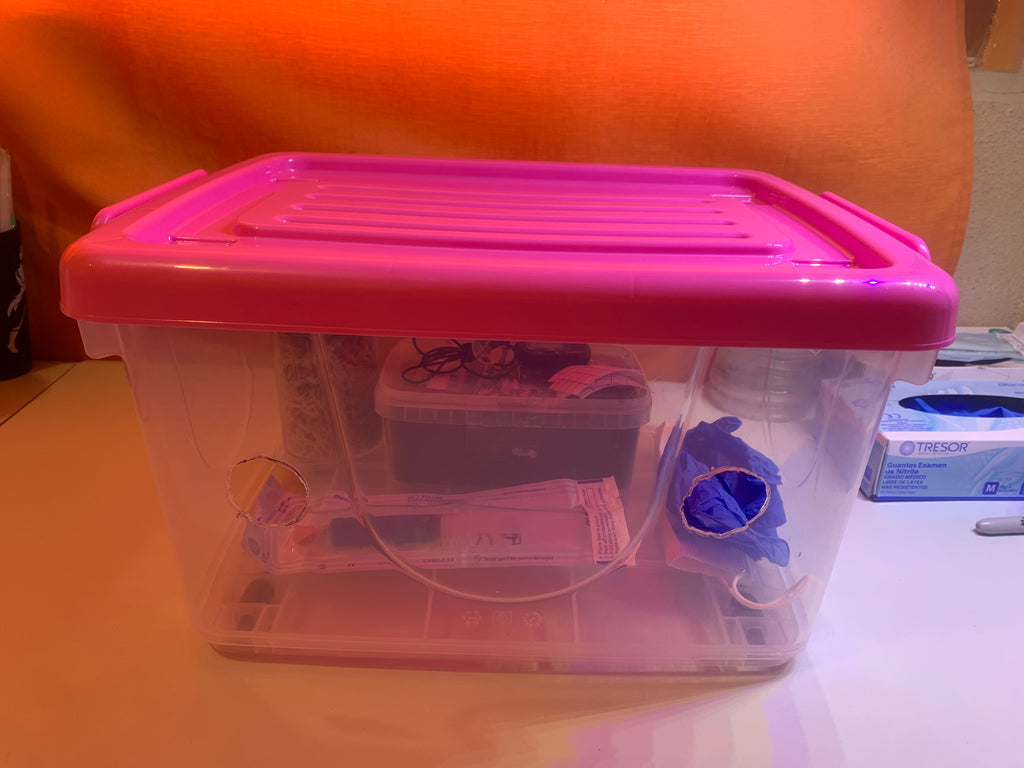 Kit de cultivo intermedio+curso de inducción