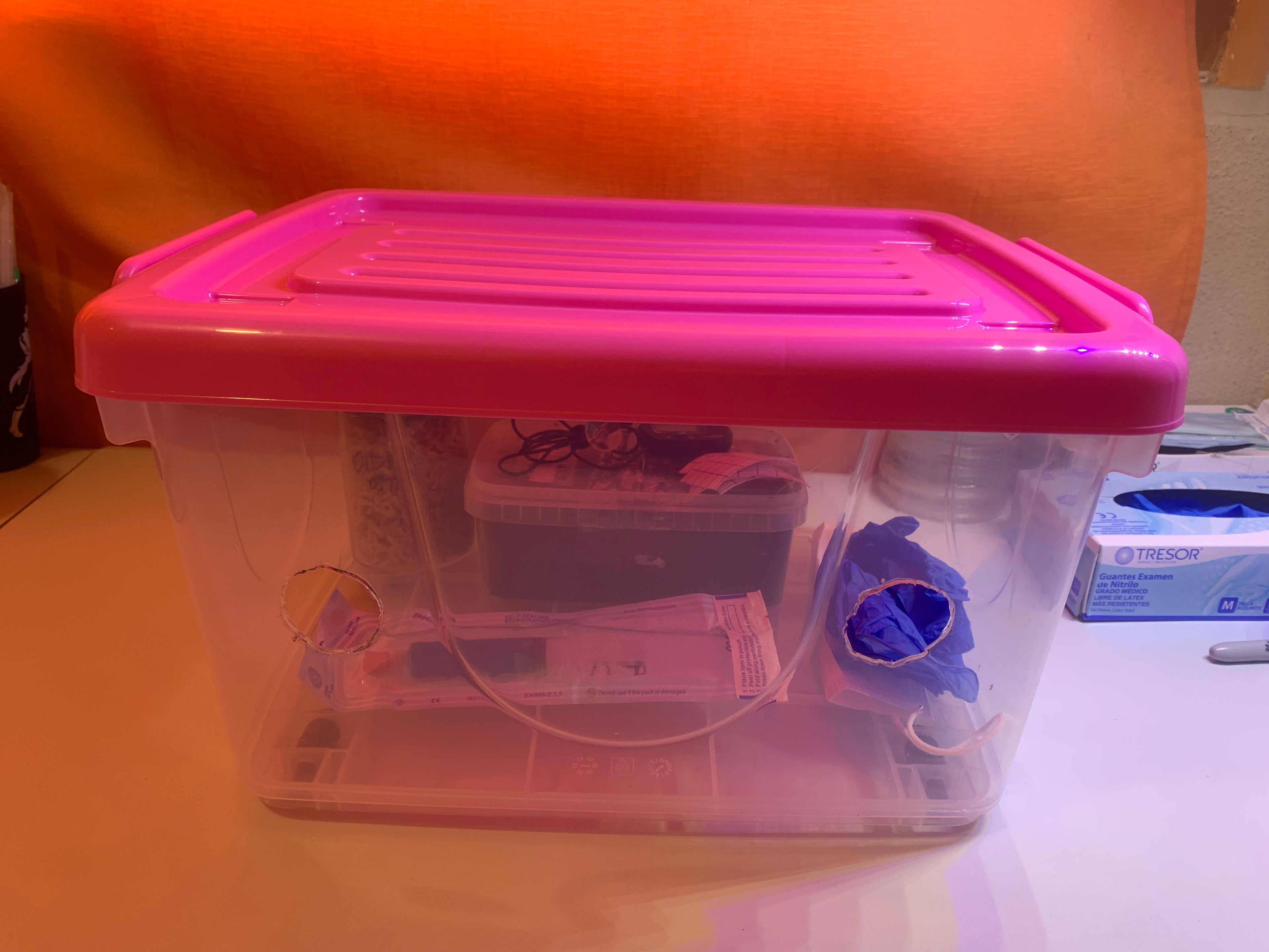 Kit de cultivo intermedio+curso de inducción