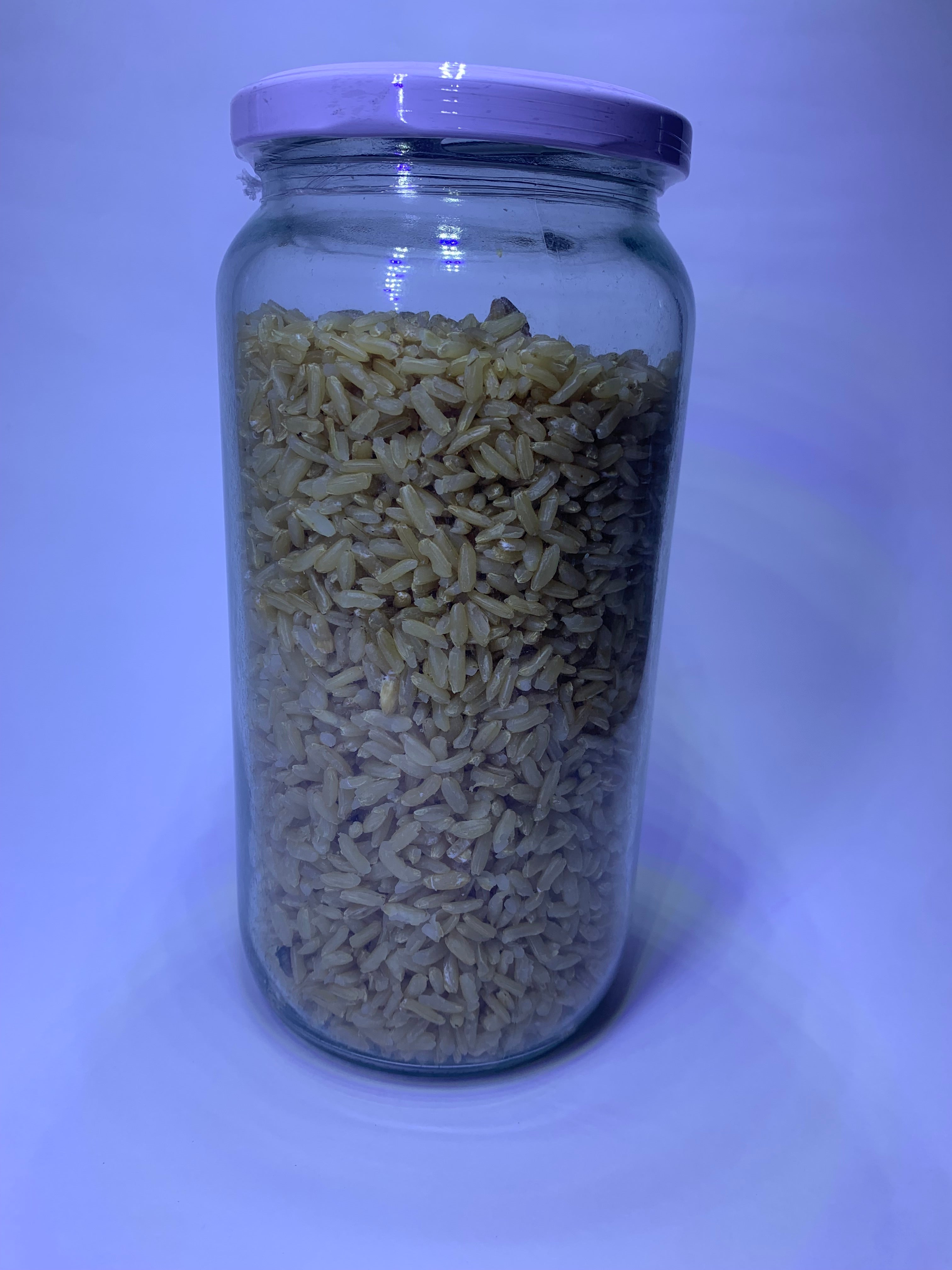 Grano estéril 1lt