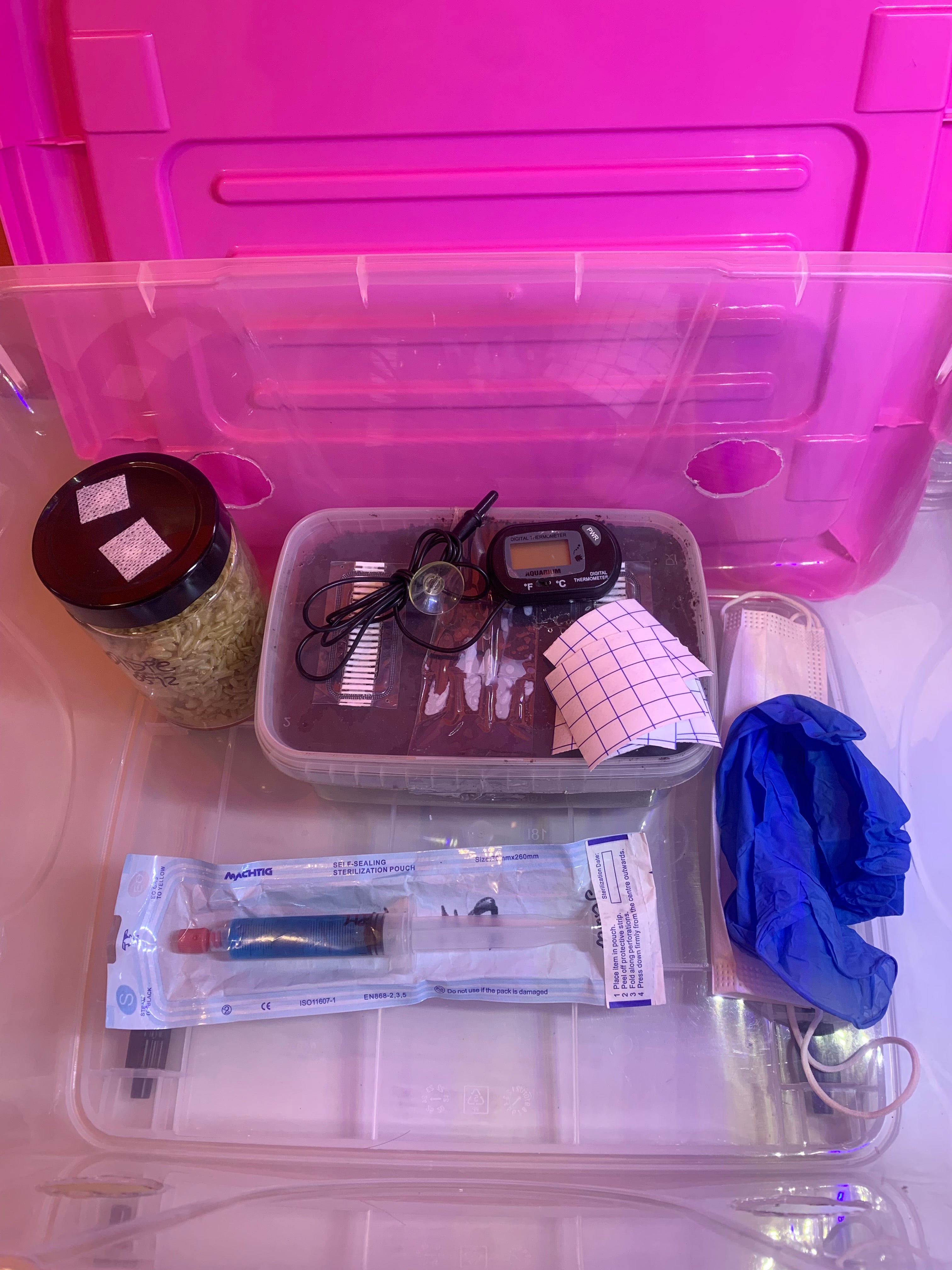 Kit de cultivo intermedio+curso de inducción