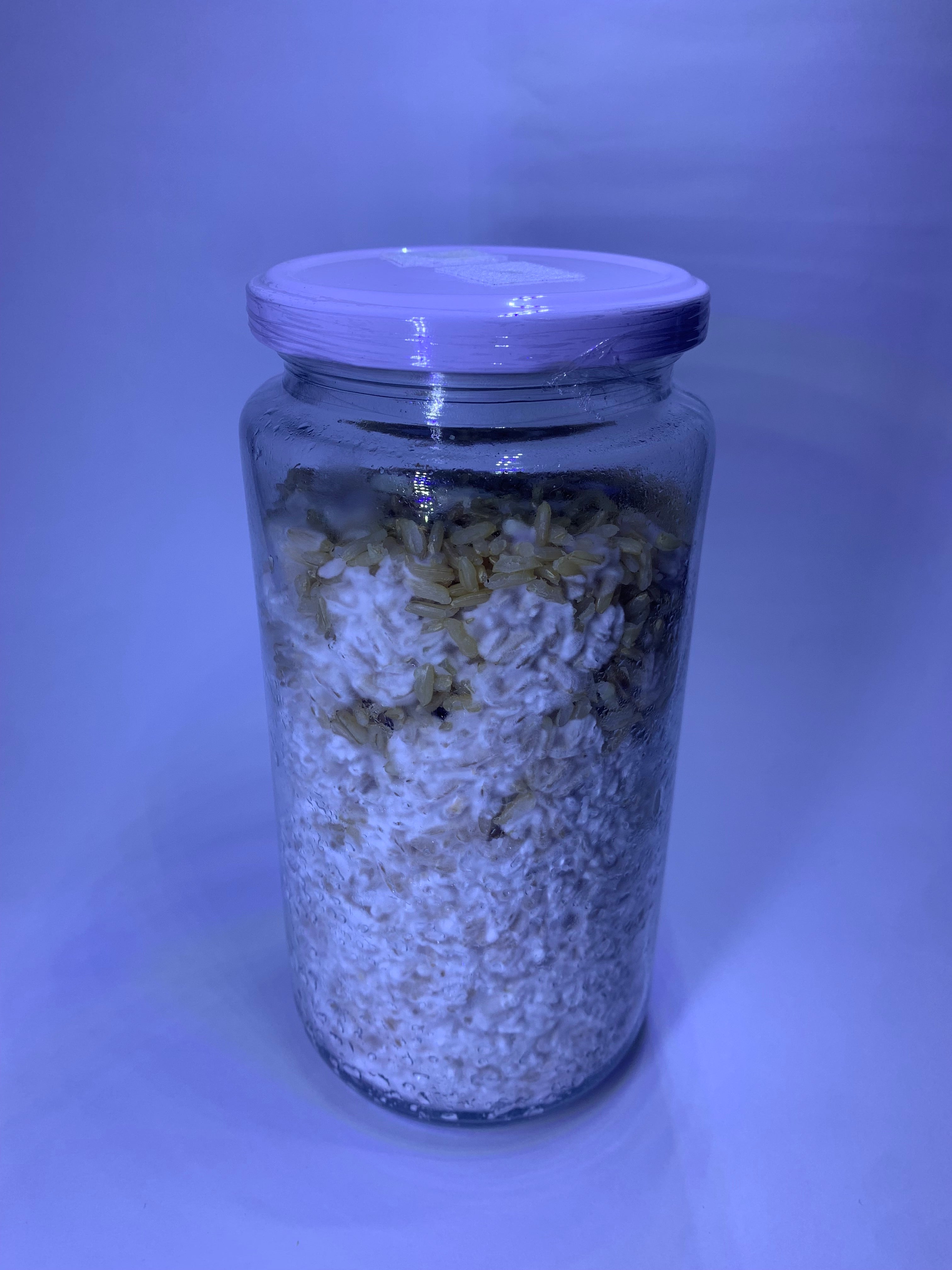 Grano colonizado